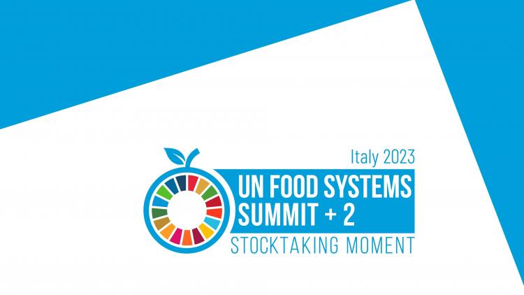 UN food summit + 2