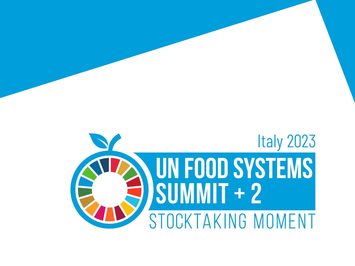 UN food summit + 2